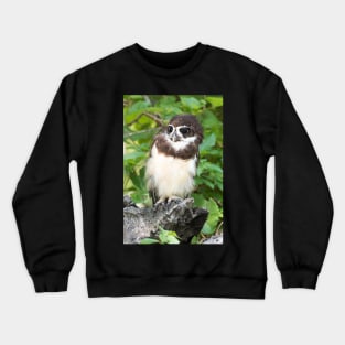 Wild but not Free Crewneck Sweatshirt